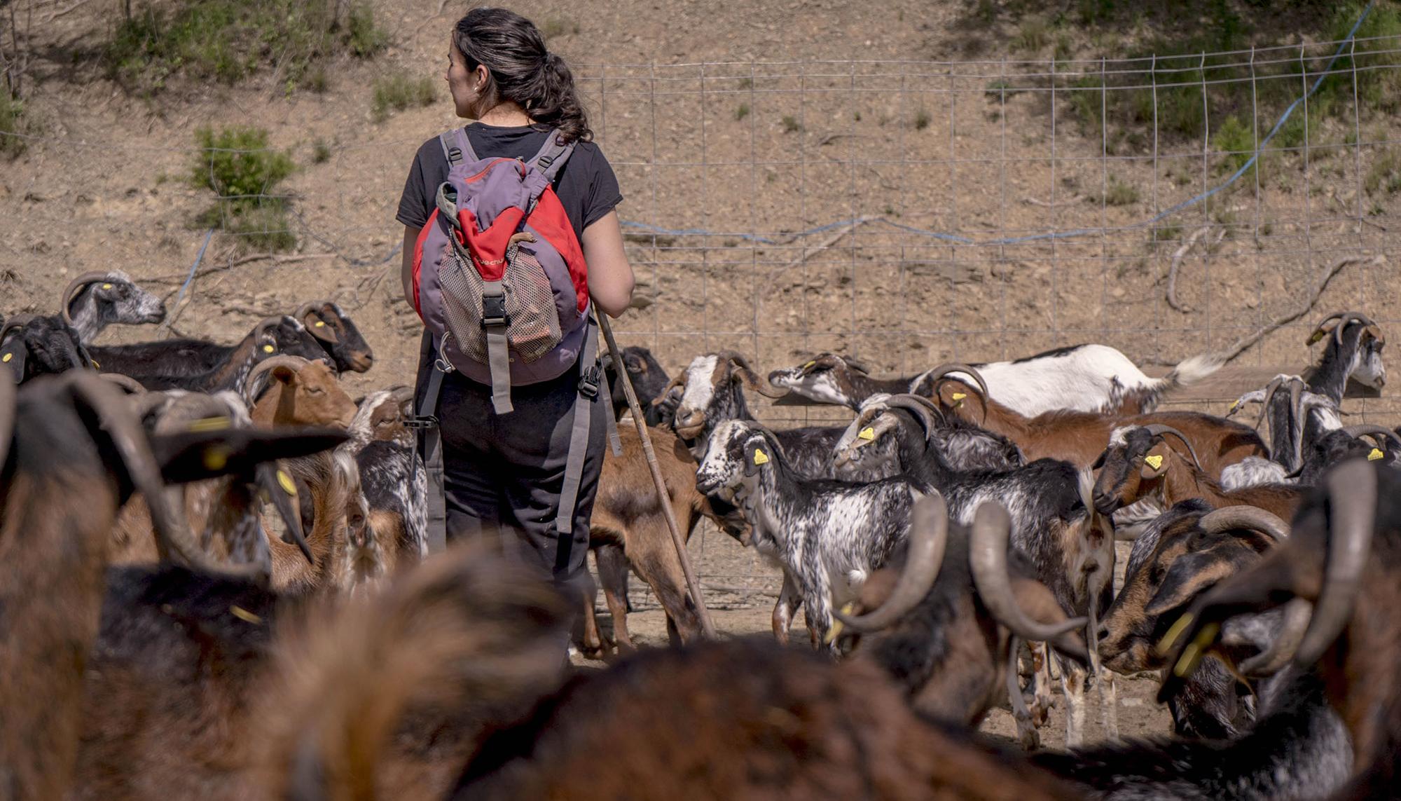 Galeria Mujeres ganaderas  - 5